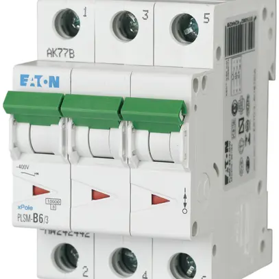 Disgiuntore PLSM-D6 3L 