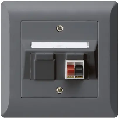 Prise ENC audio kallysto.line 1×anthracite borne à étrier pour 1 haut-parleur 