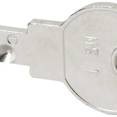 Clé de rechange ETN pour MS1 