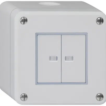 Contatto pulsante AP robusto IP55 2×1P grigio 2×illuminato 