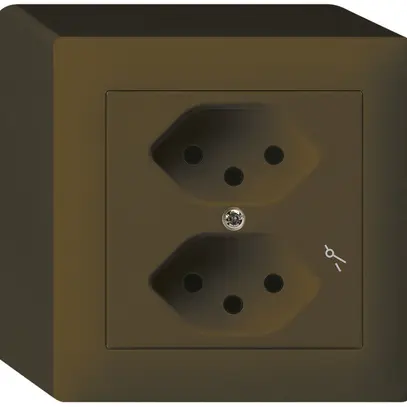 Prise AP kallysto 2×T13/1 brun 