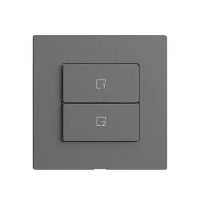 Pulsante scena 2 scene verticale/2T Edue Wiser grigio scuro 