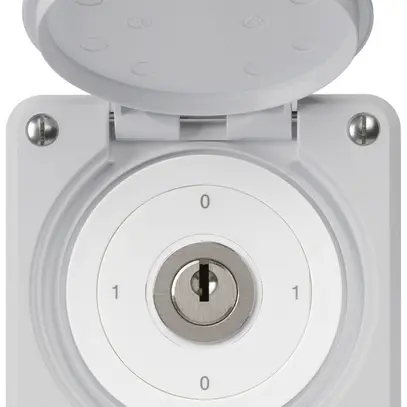 Interruttore a chiave INC robusto IP55 con copertura S0/1P grigio 