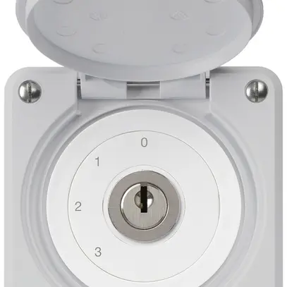 Interruttore a chiave INC robusto IP55 con copertura S5/1P grigio 
