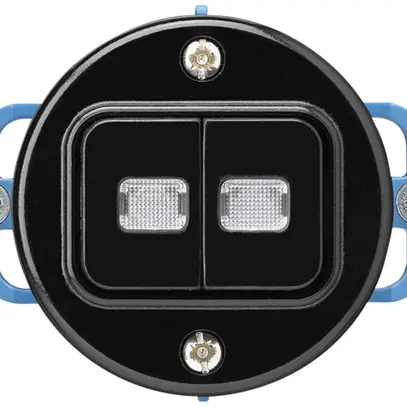 Inserto per pulsante luminoso INC basico 2×A-R/1L nero 