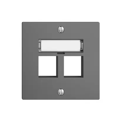 Kit de montage EDIZIOdue F, sortie droite, pour 2×Keystone, gris foncé 