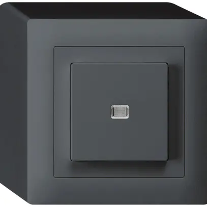 Interrupteur poussoir lumineux AP kallysto 6/1L anthracite 