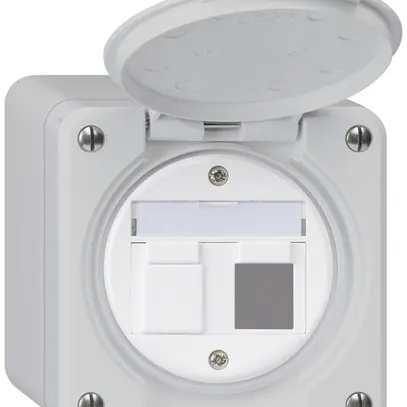 Kit de montage AP robusto IP55 plat gris pour 2×Keystone 