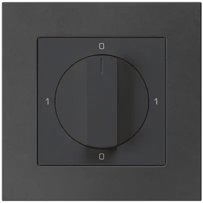 Interruttore rotativo INC kallysto.pro 0/2L nero con manopola 