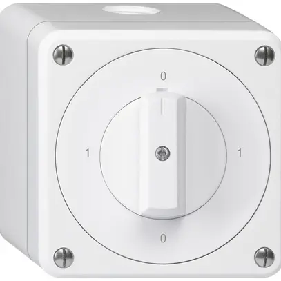 AP-Drehschalter robusto IP55 Schema 0/1P weiss 
