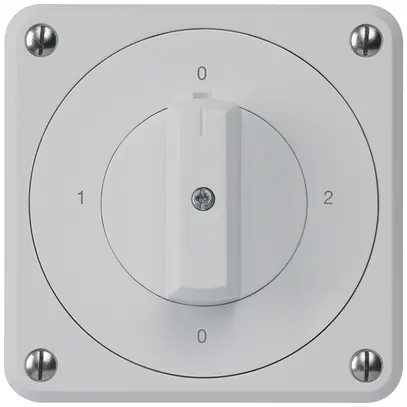 UP-Drehschalter robusto IP55 S2/1P grau für Kombination 