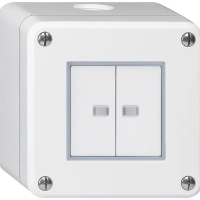 Interrupteur AP robusto IP55 schema 3/contact à poussoir 2×lumineux blanc 