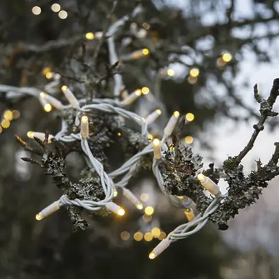 Ghirlanda luminosa System LED Extra, 5m, bianco, 4W, 50 LED, bianco caldo 