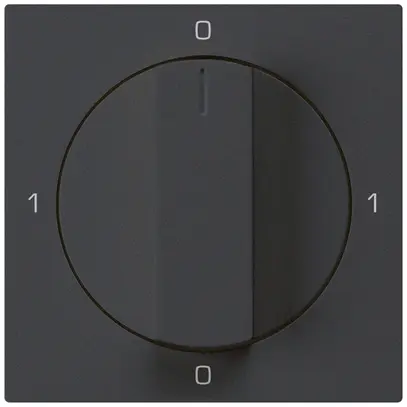 Intérieur pour interrupteur rotatif kallysto 0/3L noir avec manette 