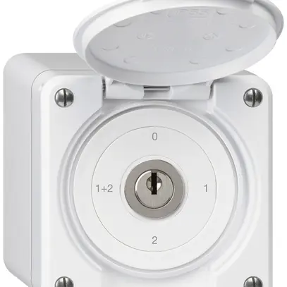 Interruttore a chiave con copertura AP robusto IP55 S1/1P bianco 