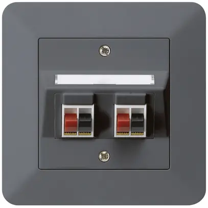 Prise ENC audio kallysto.trend 2× anthracite borne à étrier pour 2 haut-parleurs 