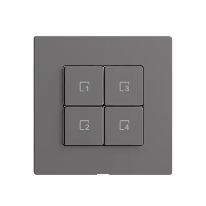 Szenentaster 4 Szenen/4T WLAN Edue Wiser dunkelgrau 