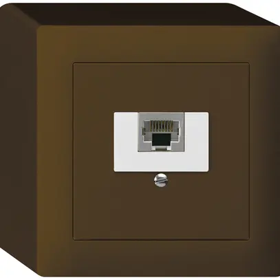Boîte AP kallysto 1×RJ45s brun 