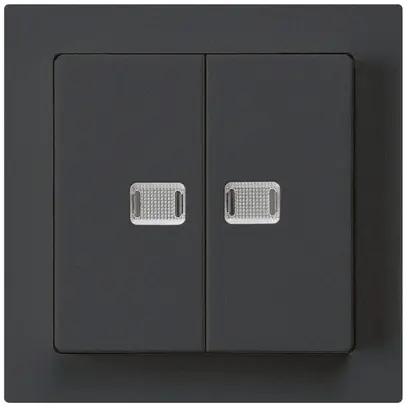 Contact à poussoir lumineux ENC kallysto 2×A-R/1P avec 2 lentilles noir 