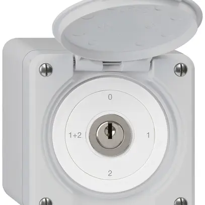Interruttore a chiave con copertura AP robusto IP55 S1/1P grigio 
