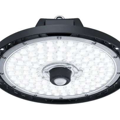 Rilevamento del movimento PIR Proiettore capannone LED Boris 
