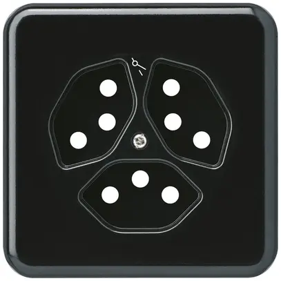 Placca di copertura grd.I 3×tipo 13/1 nero basico 