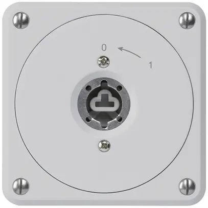 UP-Schlüsselschwenktaster robusto grau o.Deckel o.Zylinder 2P für Kombination 