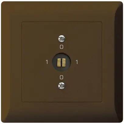 Interrupteur à clé à canon ENC kallysto.line 0/1L brun 