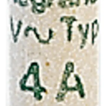 Fusibile cilindrico 8.5×31.5/8A AM 