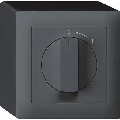 Contact pivotant AP 0<-1/1L anthracite kallysto avec manette 
