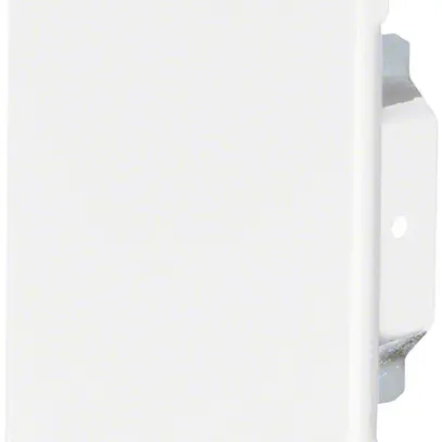 Plaque de fermeture tehalit BRS 100170 zing. 