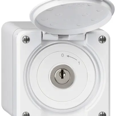 Contatto rotativo chiave AP robusto IP55 bianco con coperchio 2P 
