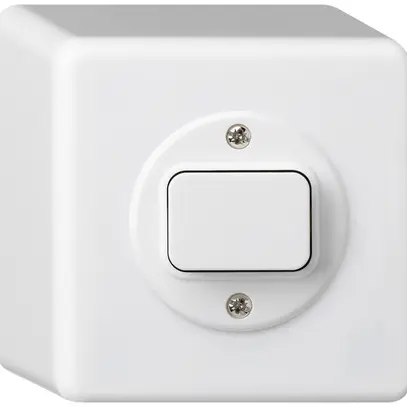 AP-Druckschalter basico 6/1L weiss 