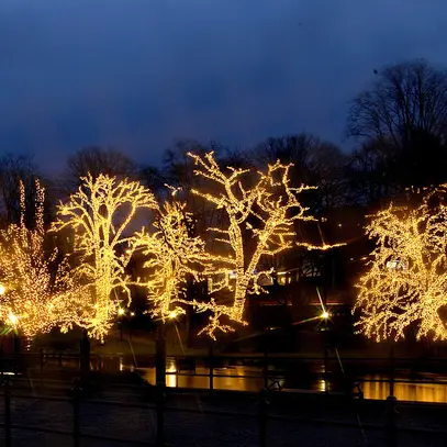 Cortina luminosa System LED Extra, 1×2m, nero, 8W, 102 LED, bianco caldo 