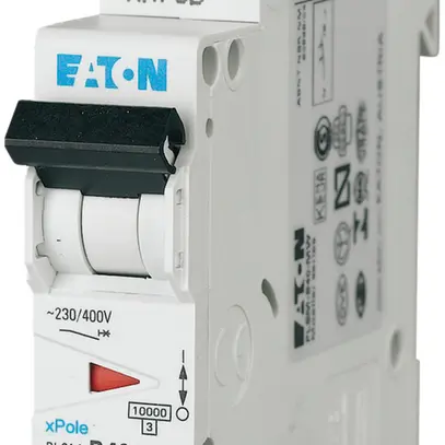 Disgiuntore PLSM-D40 1L 