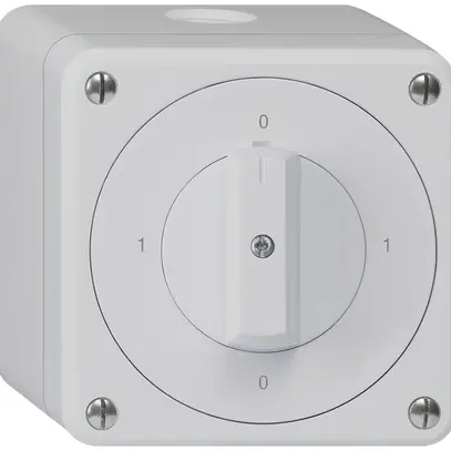 Interruttore rotativo AP robusto IP55 schema 0/2P grigio 