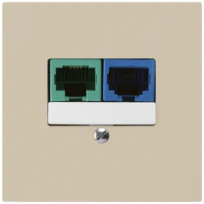 Boîte ENC DSL kallysto 2×RJ45 beige 
