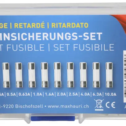 Assortimento di fusibili ritardati MAX HAURI ogni 10 pezzi 0.315…10A 