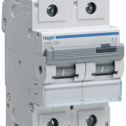 Disgiuntore Hager MCB 2P 400V tipo C 125A 3UM 