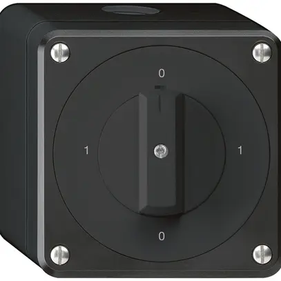 Interruttore rotativo AP robusto IP55 schema 0/2P nero 