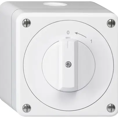 Contatto rotativo AP robusto IP55 bianco 2P 