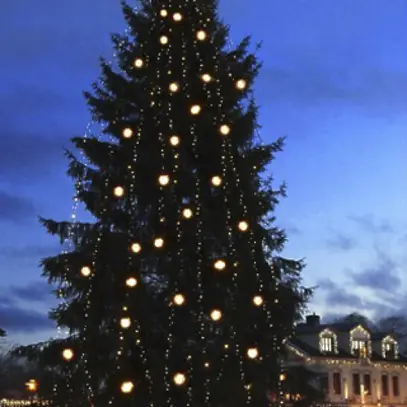 Ghirlanda luminosa System 24 Extra, 5m, nero, 1W, 49 LED, bianco caldo 