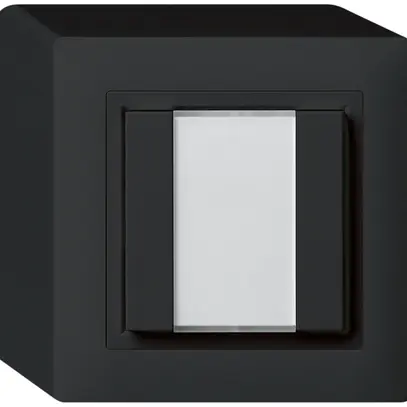Pulsante universale AP 2×KAL con LED nero 