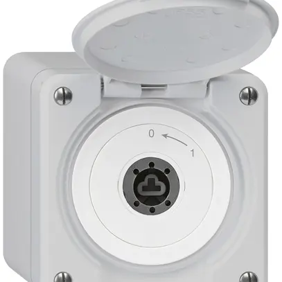 Contatto rotativo chiave AP robusto IP55 grigio con coperchio senza cilindro 1P 
