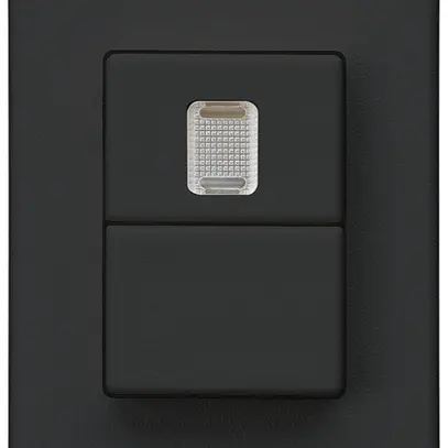 Poussoir double INC Hager FLF 10A/250V 0/1L 1× illuminé noir 