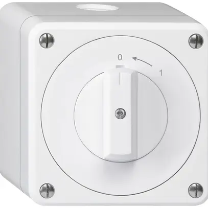 Contatto rotativo AP robusto IP55 bianco 1P 