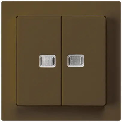 Kit frontal kallysto brun avec 2 lentilles 60×60mm 