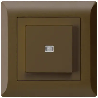 Contact à poussoir lumineux ENC kallysto.line AR/2P brun 