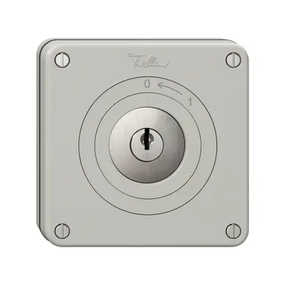 NUPU-Schwenktaster NEVO, mit Schloss&2 Schlüsseln, KS, 0<-1, lichtgrau 