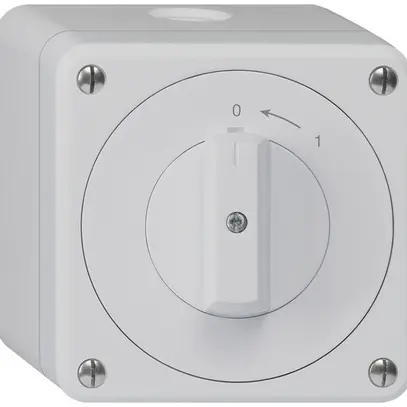 Contatto rotativo AP robusto IP55 grigio 2P 
